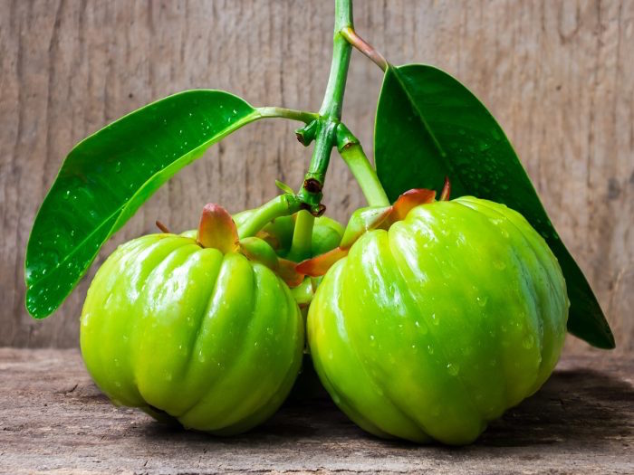 Comment le Garcinia Cambogia empêche la formation des graisses ?